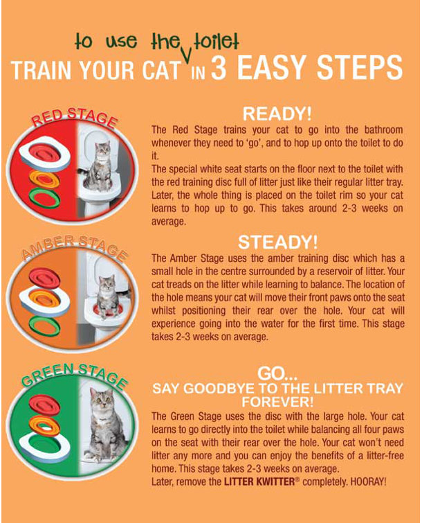Litter Kwitter Cat Plastic Toilet Training System & Reviews Wayfair